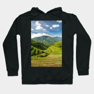 Landscape of rice terraces in china Hoodie